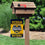 Michigan Team University Wolverines 12 Time Football National Champions Double Sided Garden Banner Flag - 757 Sports Collectibles