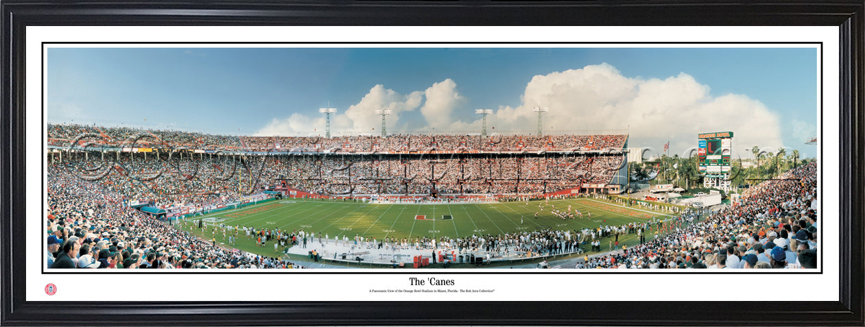 FL-77 The Canes - 757 Sports Collectibles