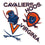 University of Virginia Sticker Cavaliers UVA Wahoos Stickers Vinyl Decals Laptop Water Bottle Car Scrapbook T2 (Type 2) - 757 Sports Collectibles