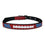 Carolina Panthers Signature Pro Collars by Pets First