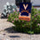 Rico Industries NCAA Virginia Cavaliers Primary 13" x 18" Double Sided Garden Flag - 757 Sports Collectibles