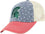 Top of the World Men's Adjustable Freedom Icon Hat