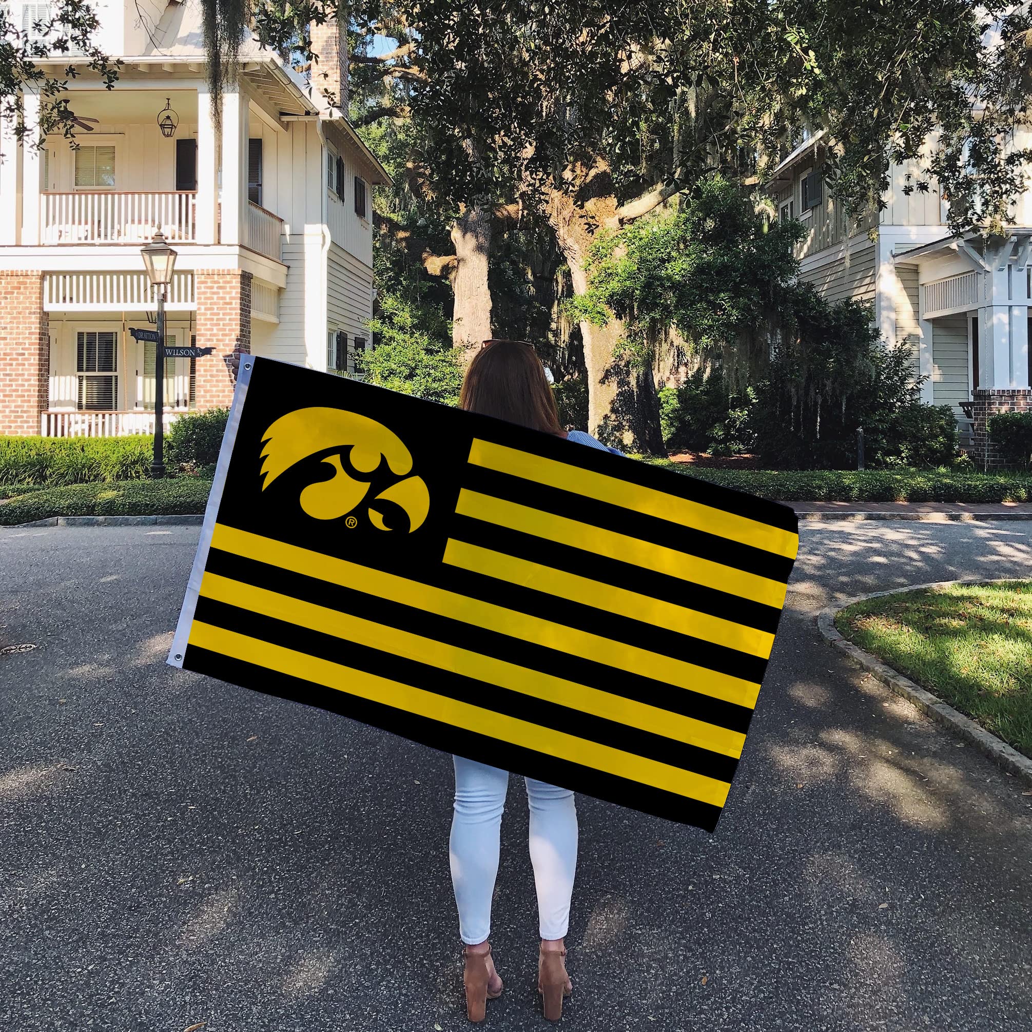 Desert Cactus University of Iowa Flag Hawkeyes Flags Banners 100% Polyester Indoor Outdoor 3x5 (Nation) - 757 Sports Collectibles