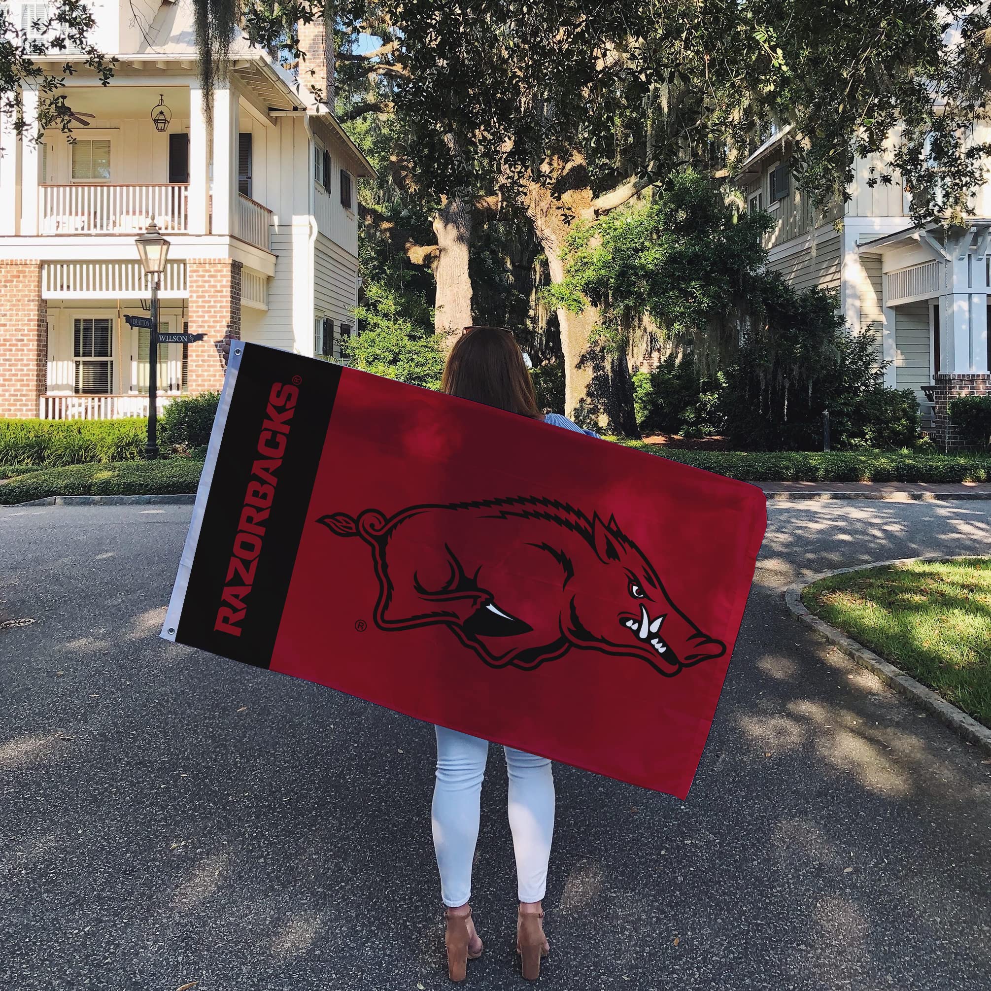 Desert Cactus University of Arkansas Flag Razorbacks U of A Hogs Flags Banners 100% Polyester Indoor Outdoor 3x5 (Team Name) - 757 Sports Collectibles