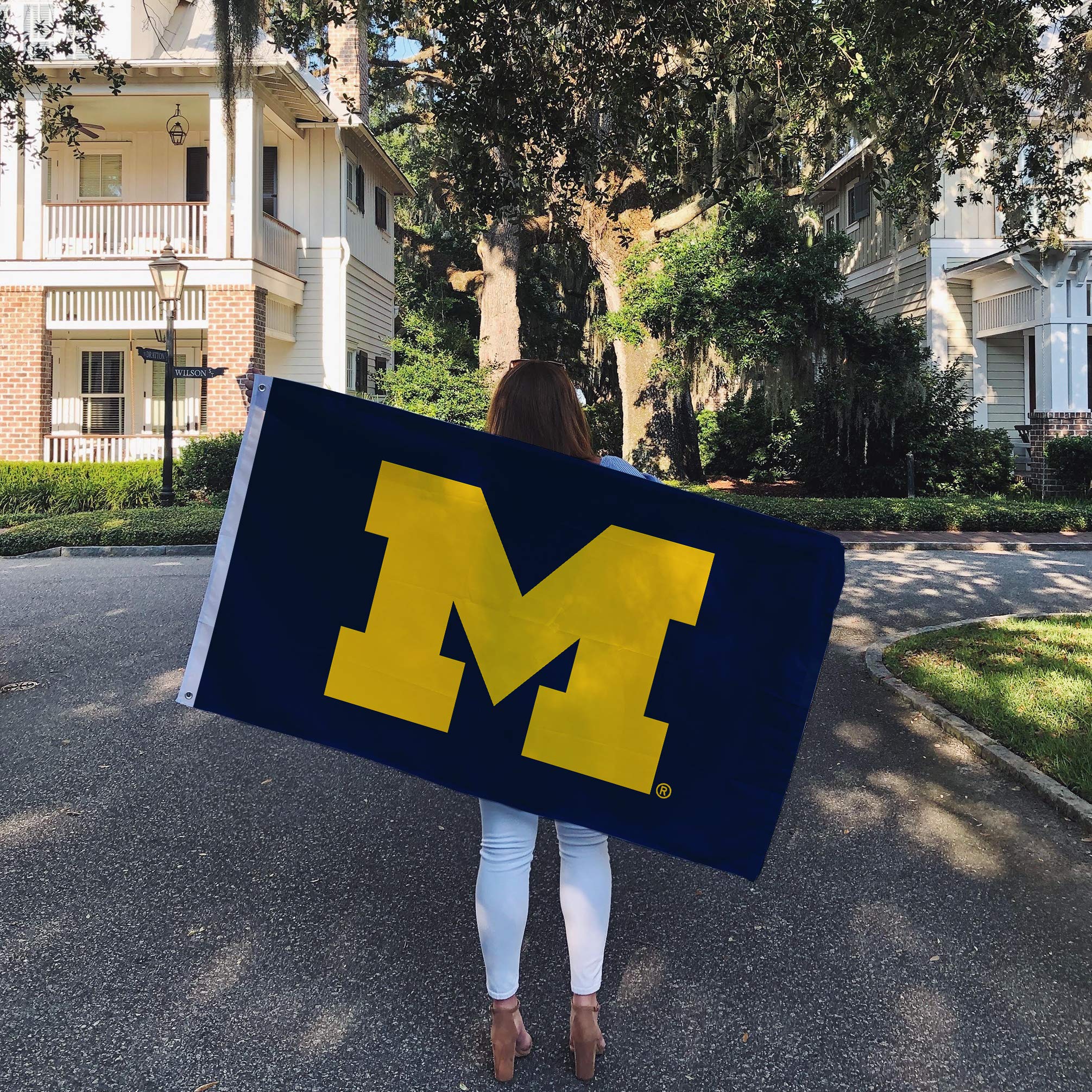 Desert Cactus University of Michigan Flag Wolverines UM U of M Flags Banners 100% Polyester Indoor Outdoor 3x5 (Design 1) - 757 Sports Collectibles