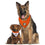 Anaheim Ducks Reversible Bandana Pets First - 757 Sports Collectibles