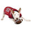 Arkansas Razorbacks Dog Jersey Pets First - 757 Sports Collectibles