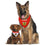 Chicago Blackhawks Reversible Bandana Pets First - 757 Sports Collectibles