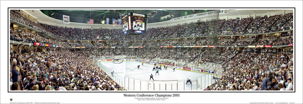 CA-157 Ducks Western Conference Champions
