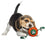 Boston Celtics Nyon Dog Toy Pets First - 757 Sports Collectibles