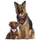 Chicago Bears Reversible Bandana Pets First - 757 Sports Collectibles
