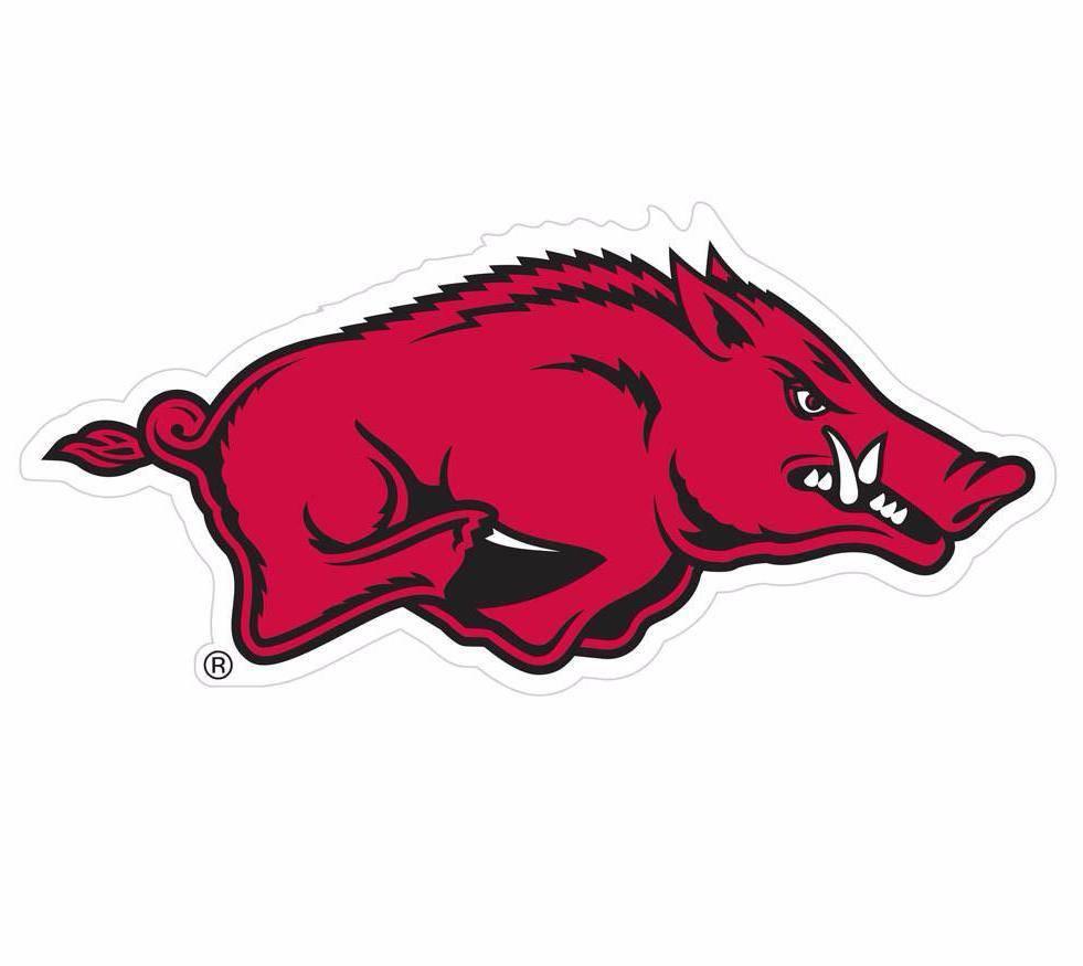 Arkansas Razorbacks 8 inch Logo Magnets (SSKG) - 757 Sports Collectibles