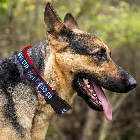 Chicago Cubs Collar Pets First - 757 Sports Collectibles