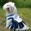 NFL Dallas Cowboys Cheerleader Dog Dress Pets First - 757 Sports Collectibles