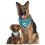Miami Dolphins Reversible Bandana Pets First - 757 Sports Collectibles