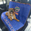 Florida Gators Car Seat Cover Pets First - 757 Sports Collectibles