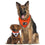 Philadelphia Flyers Reversible Bandana Pets First - 757 Sports Collectibles