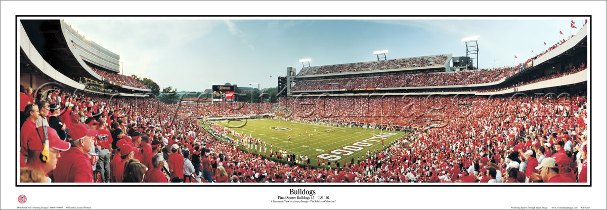 GA-163 Georgia Bulldogs