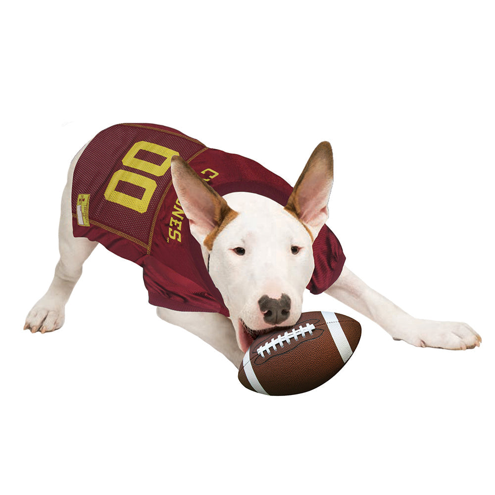 Iowa State Dog Jersey Pets First - 757 Sports Collectibles