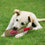 Los Angeles Angles Plush Bat Pets First - 757 Sports Collectibles
