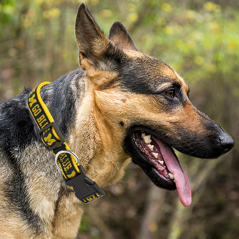 Michigan Wolverines Dog Collar Pets First - 757 Sports Collectibles