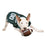 Michigan State Dog Jersey Pets First - 757 Sports Collectibles