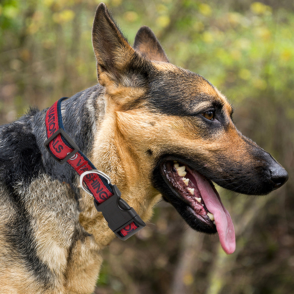 Washington Nationals Dog Collar Pets First - 757 Sports Collectibles