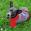 Washington Nationals Hoody Dog Tee Pets First - 757 Sports Collectibles