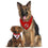 New Jersey Devils Reversible Bandana Pets First - 757 Sports Collectibles