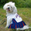 NFL New York Giants Cheerleader Dog Dress Pets First - 757 Sports Collectibles