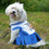 Oklahoma City Thunder Cheerleader Dog Dress Pets First - 757 Sports Collectibles