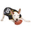NFL Pittsburgh Steelers Dog Jerseys Pets First - 757 Sports Collectibles