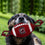 South Carolina Gamecocks Nylon Football Dog Toy Pets First - 757 Sports Collectibles