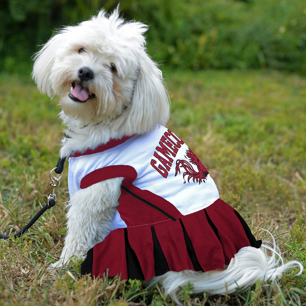 South Carolina Cheerleader Pet Dress - 757 Sports Collectibles
