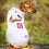 St. Louis Cardinals Dog Jersey - White Pets First - 757 Sports Collectibles
