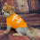Tennessee Volunteers Dog Tee Shirt Pets First - 757 Sports Collectibles