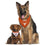 Texas Longhorns Reversible Bandana Pets First - 757 Sports Collectibles