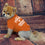 Texas Longhorns Dog Tee Shirts Pets First - 757 Sports Collectibles