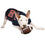 Mississippi Rebels Dog Jersey Pets First - 757 Sports Collectibles