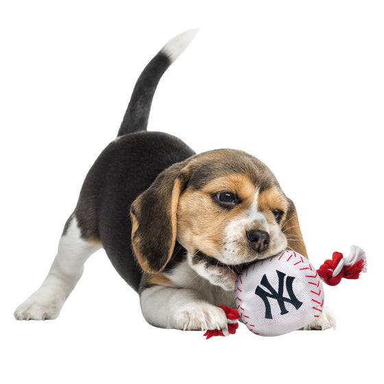New York Yankees Baseball Toy - Nylon w/rope Pets First - 757 Sports Collectibles