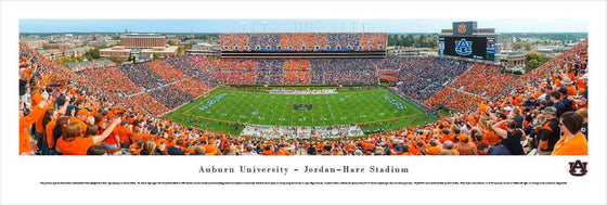 Auburn University Football - Stripe The Stadium - Unframed - 757 Sports Collectibles