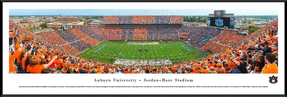 Auburn University Football - Stripe The Stadium - Framed - 757 Sports Collectibles