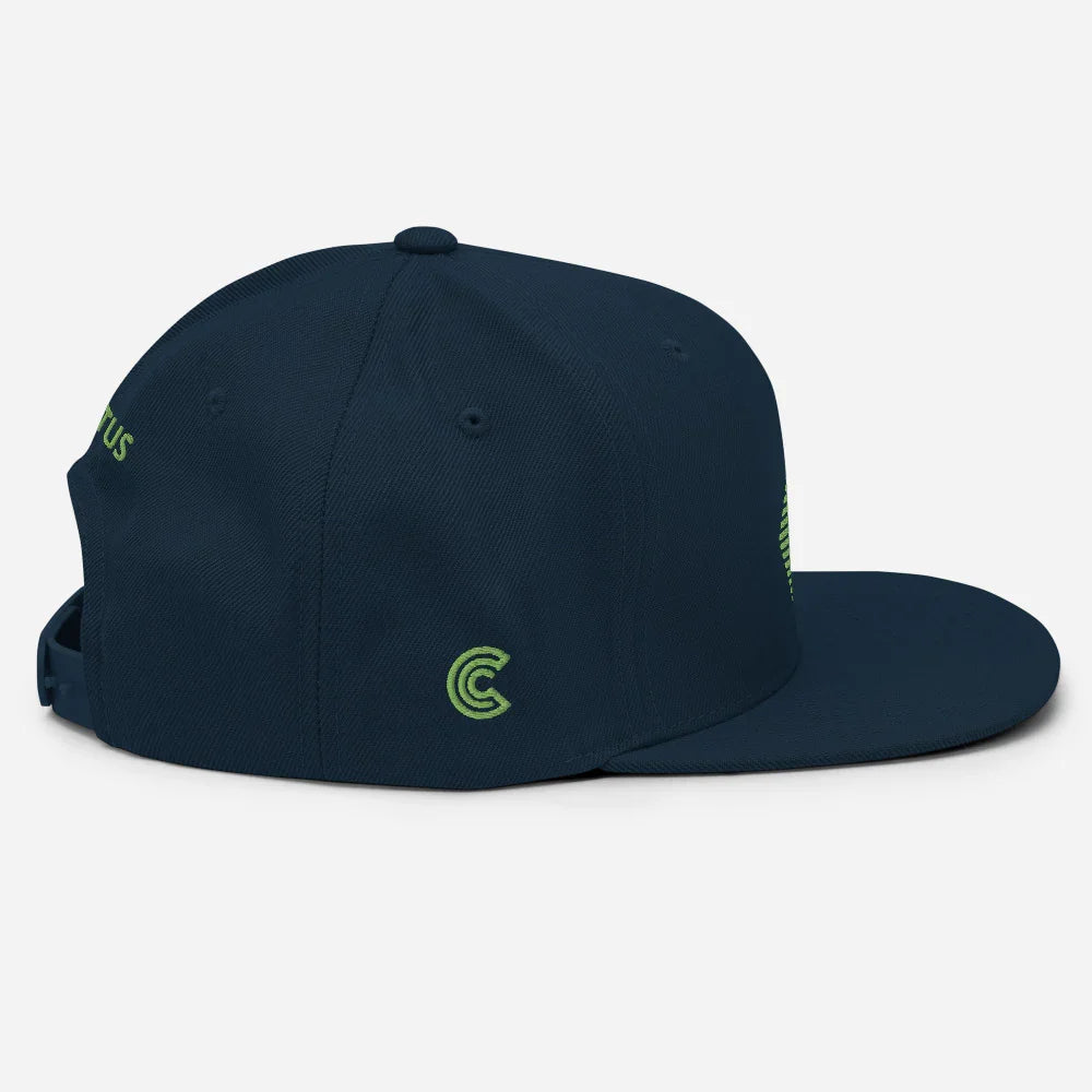 Cactus Life - Embroidered Snapback Hat Adjustable Fit - 757 Sports Collectibles