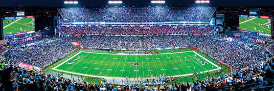 Stadium Panoramic - Tennessee Titans 1000 Piece NFL Sports Puzzle - Center View