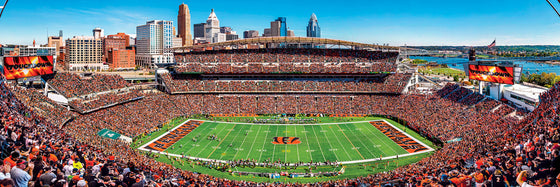 Stadium Panoramic - Cincinnati Bengals 1000 Piece NFL Sports Puzzle - Center View