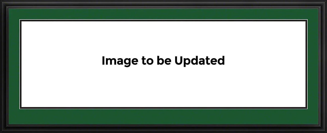 Michigan State Football - Stripe - 50 Yd - Deluxe Frame - 757 Sports Collectibles