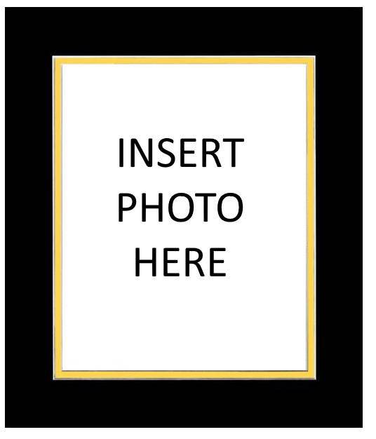 NFL Pittsburgh Pirates Colored Matting for 8x10 Photo fits 11x14 Frame - 757 Sports Collectibles