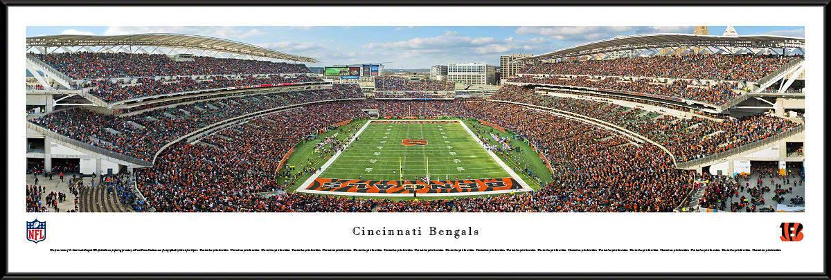 Cincinnati Bengals - End Zone - Standard Frame - 757 Sports Collectibles