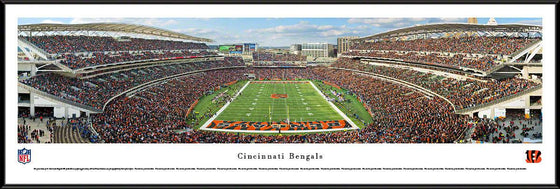 Cincinnati Bengals - End Zone - Standard Frame - 757 Sports Collectibles