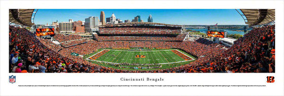 Cincinnati Bengals Paul Brown Stadium 13.5" x 40" Unframed Panoramic Photo - 757 Sports Collectibles